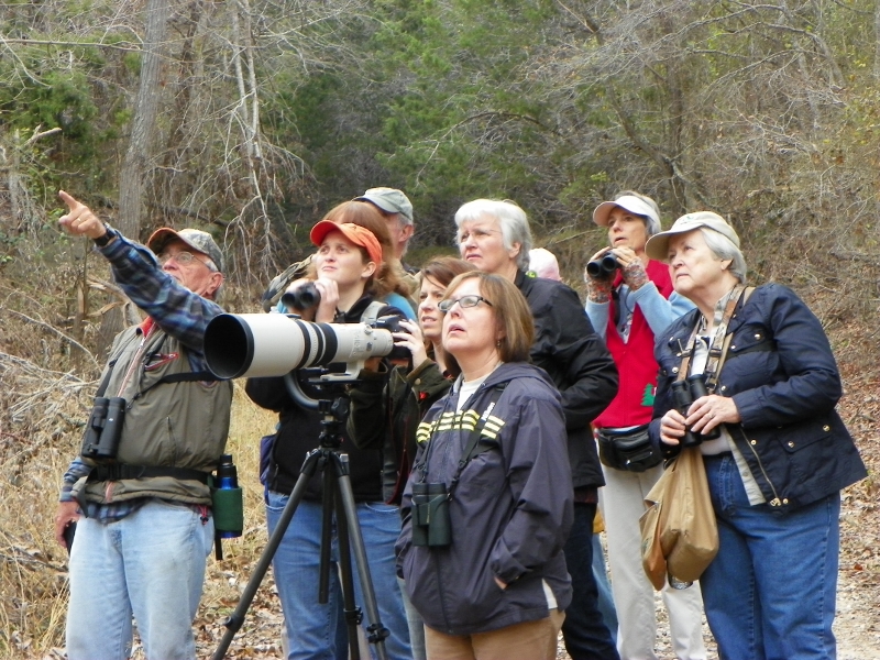 100_3578 (800x600).jpg - TLAS birders photographed by Elaine Horton